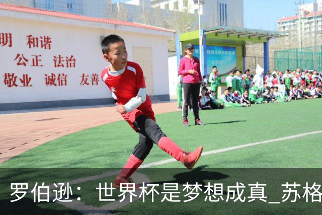 罗伯逊：世界杯是梦想成真 苏格兰已从上届欧洲杯吸取教训